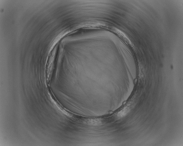 X0000077320802200611101457