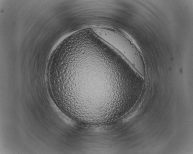 X0000077320803200611101457