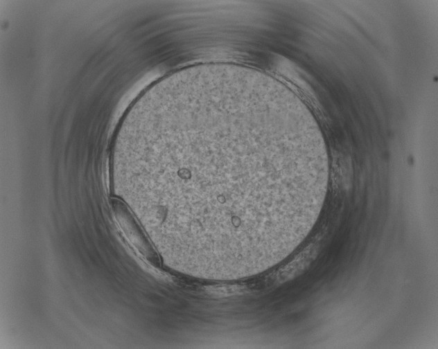 X0000077320804200611101457