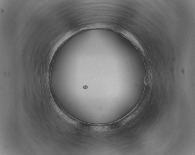 X0000077320805200611101456