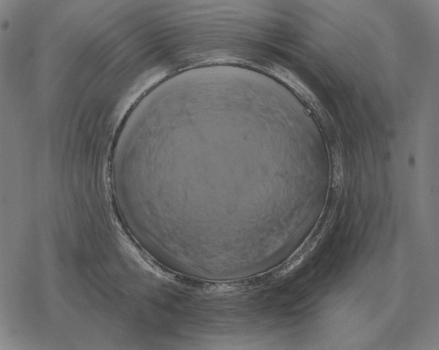 X0000077320806200611101456