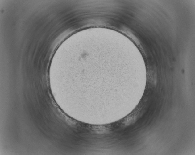 X0000077320807200611101456