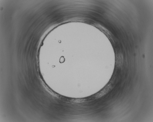 X0000077320808200611101456