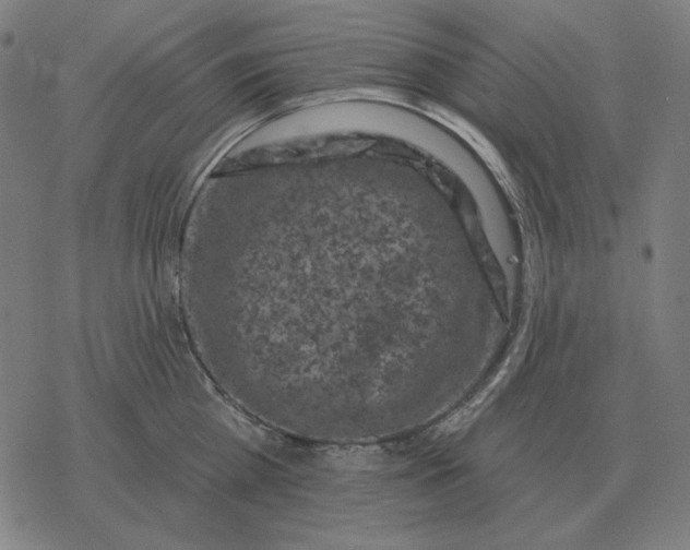 X0000077320809200611101456