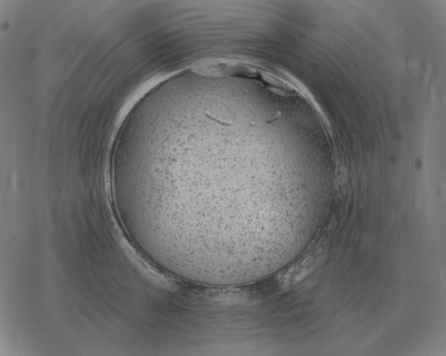 X0000077320811200611101456