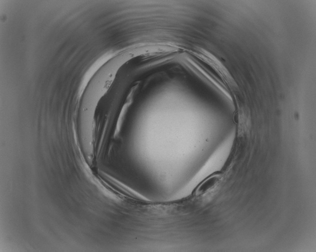 X0000077320812200611101456