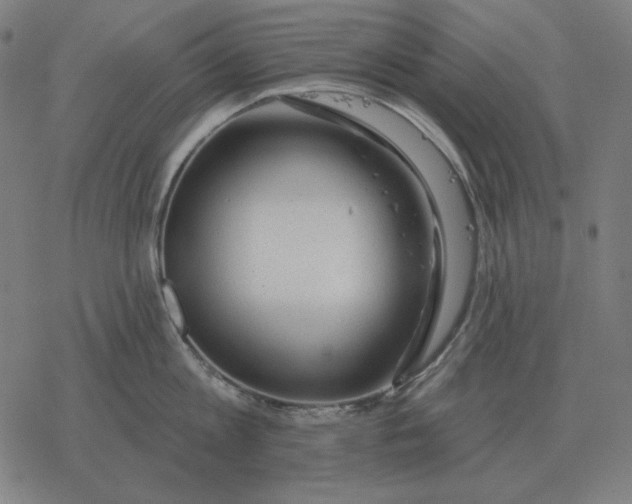 X0000077320813200611101456