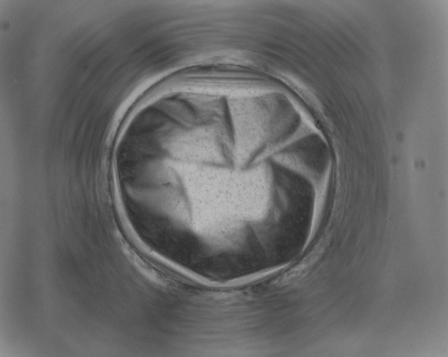 X0000077320816200611101456