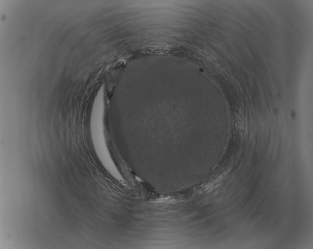 X0000077320818200611101456