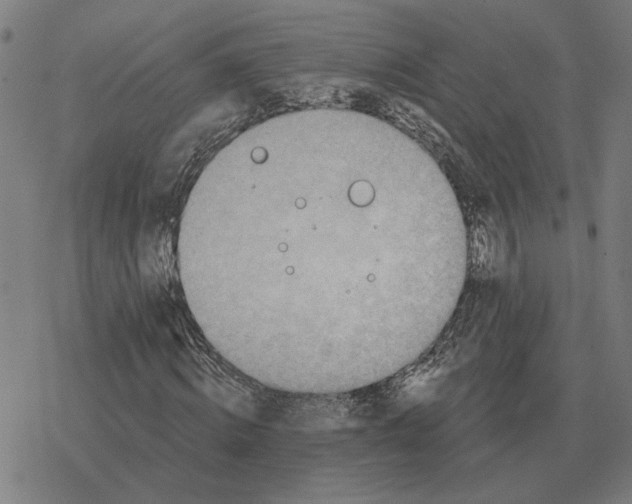 X0000077320820200611101456