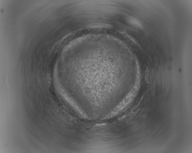 X0000077320821200611101456