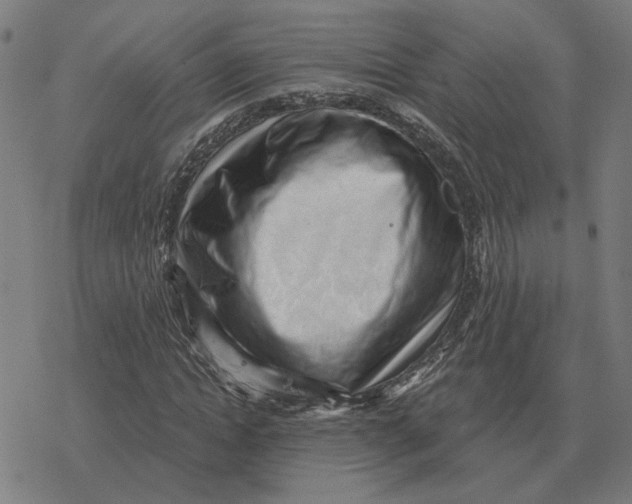 X0000077320822200611101456