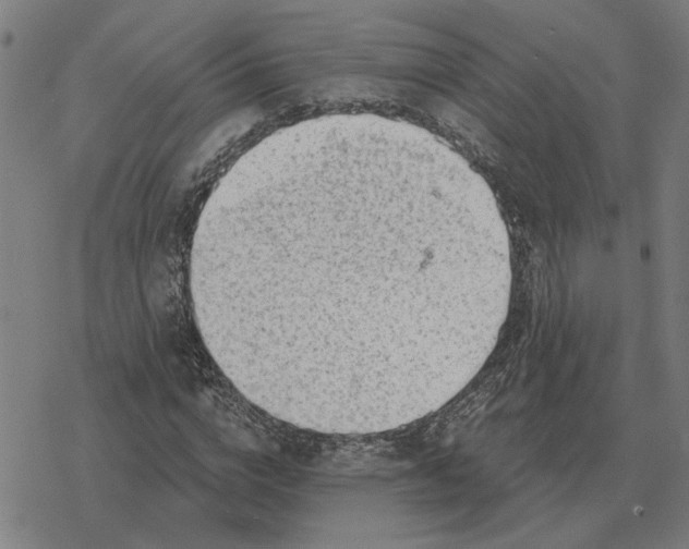 X0000077320824200611101456