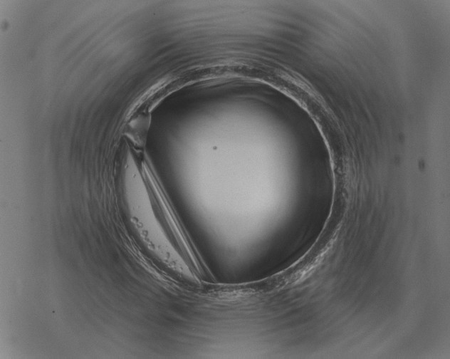 X0000077320826200611101456