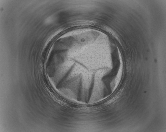 X0000077320827200611101456