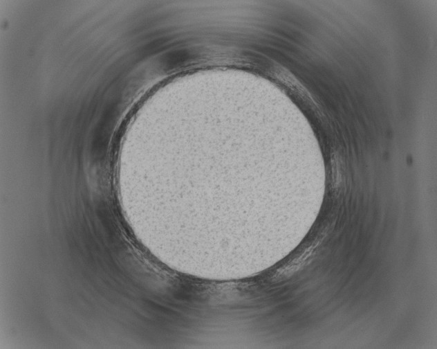 X0000077320828200611101456