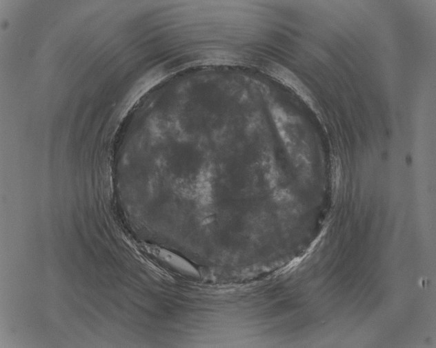 X0000077320829200611101456