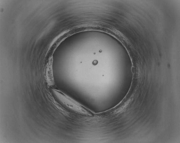 X0000077320830200611101456