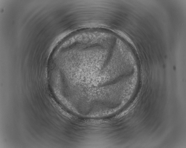 X0000077320831200611101456