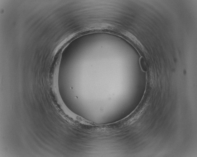 X0000077320834200611101456