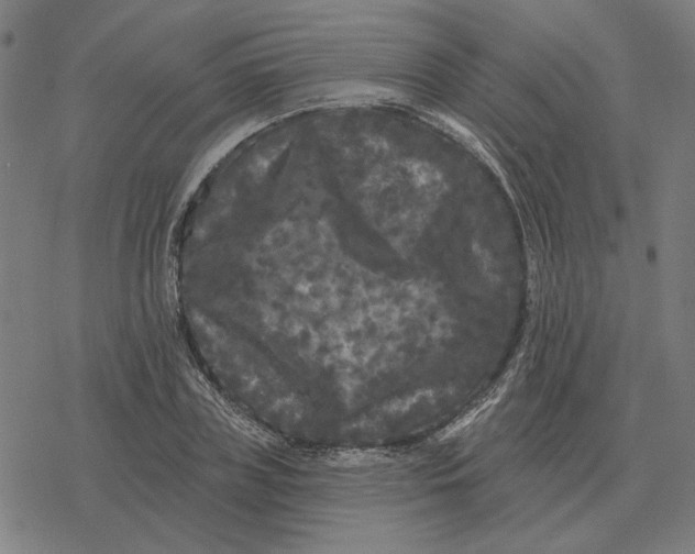 X0000077320835200611101456