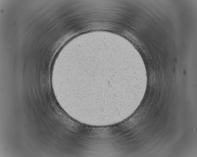 X0000077320836200611101456