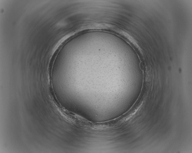 X0000077320837200611101456