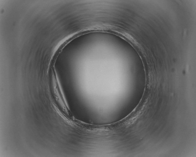 X0000077320838200611101456