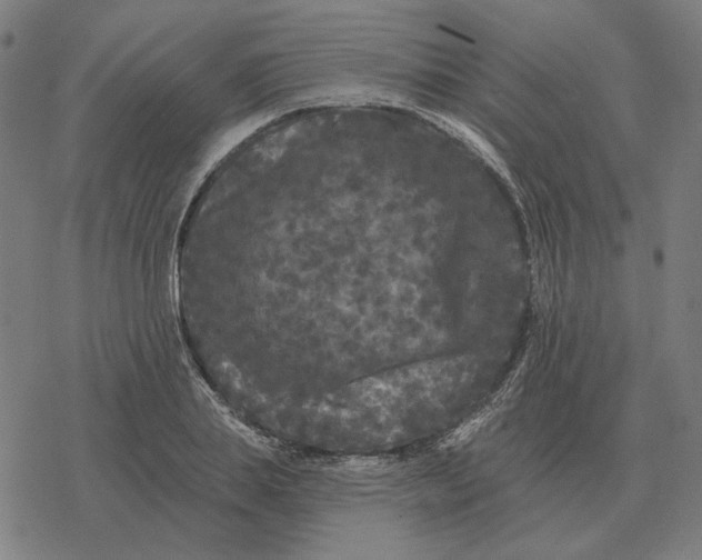 X0000077320839200611101456