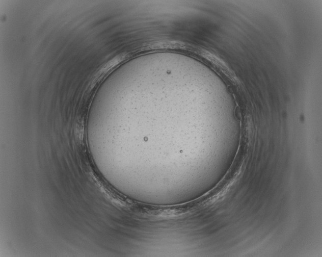 X0000077320841200611101456