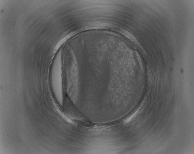 X0000077320842200611101456