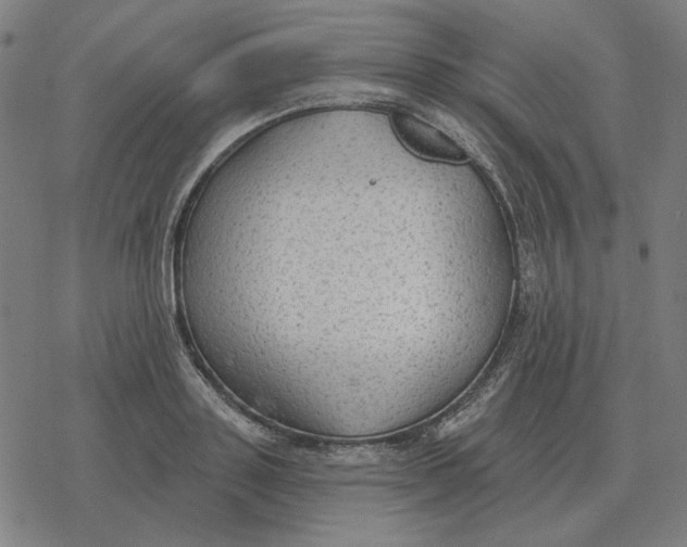 X0000077320843200611101456