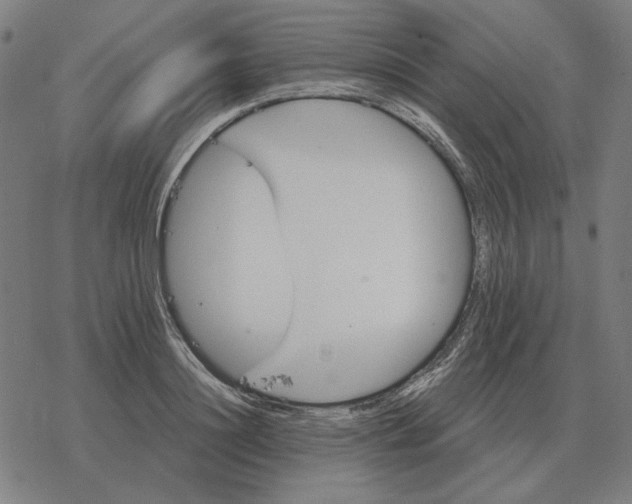 X0000077320844200611101456