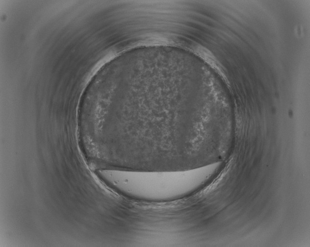 X0000077320845200611101456