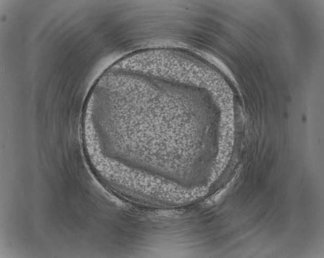 X0000077320847200611101456