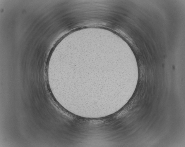 X0000077320848200611101456