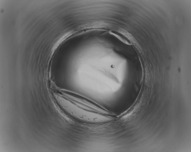 X0000077320850200611101456