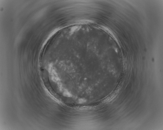 X0000077320851200611101456