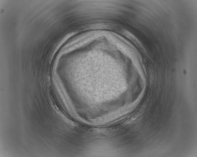 X0000077320852200611101456