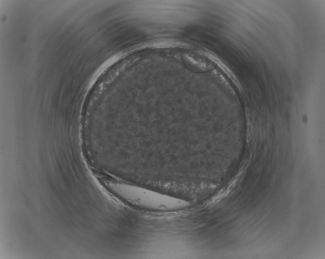 X0000077320853200611101456