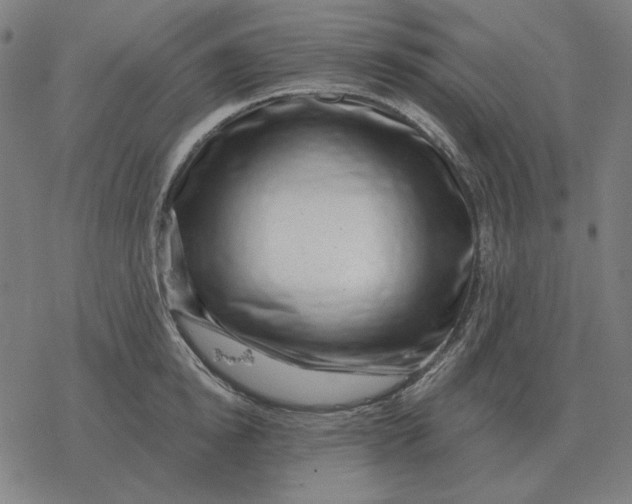 X0000077320854200611101456