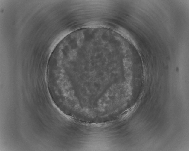 X0000077320855200611101456