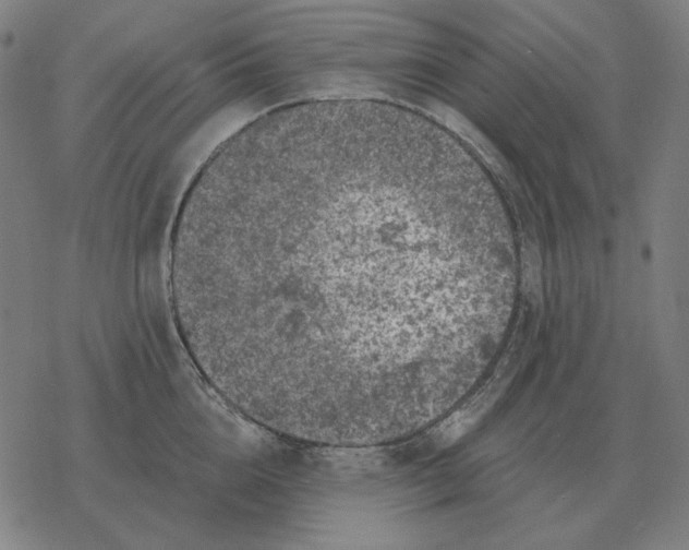 X0000077320856200611101456