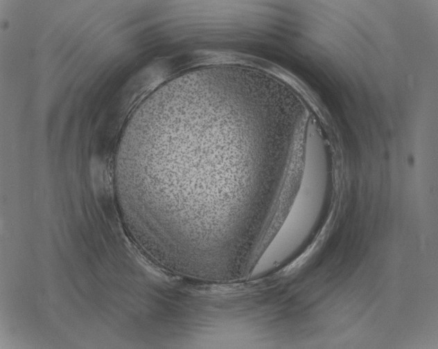 X0000077320857200611101456