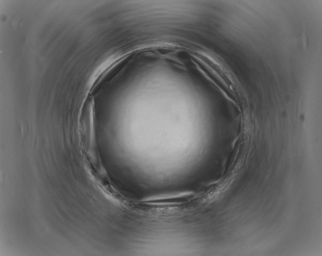 X0000077320858200611101456