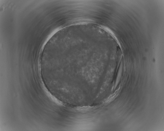 X0000077320859200611101456