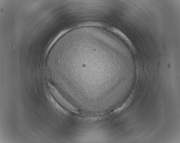 X0000077320860200611101456