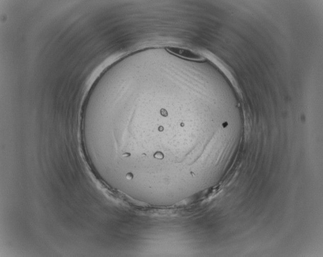 X0000077320861200611101456