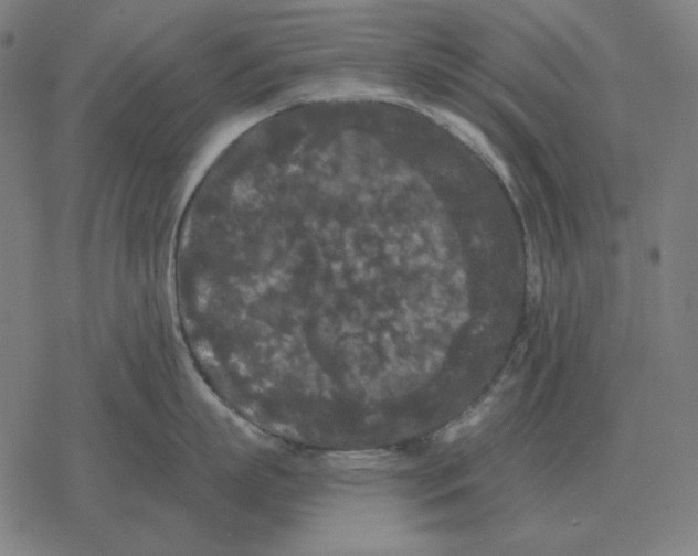 X0000077320863200611101456