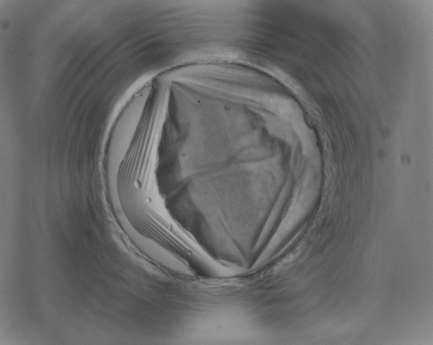 X0000077320864200611101456